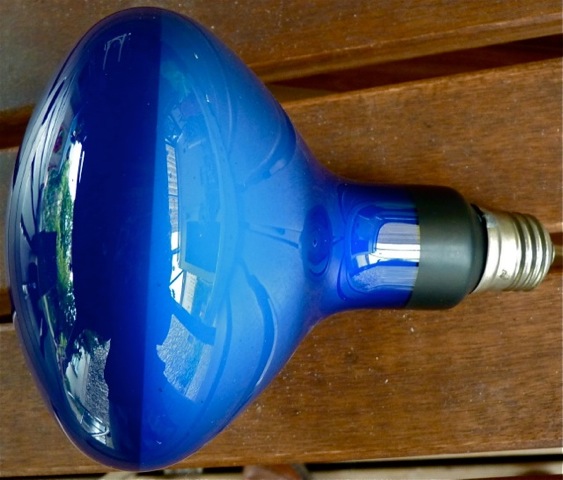 Ampoule RFL 500W E27 - Filament de tungstène - verre coloré en bleu = 'Lumière du Jour'